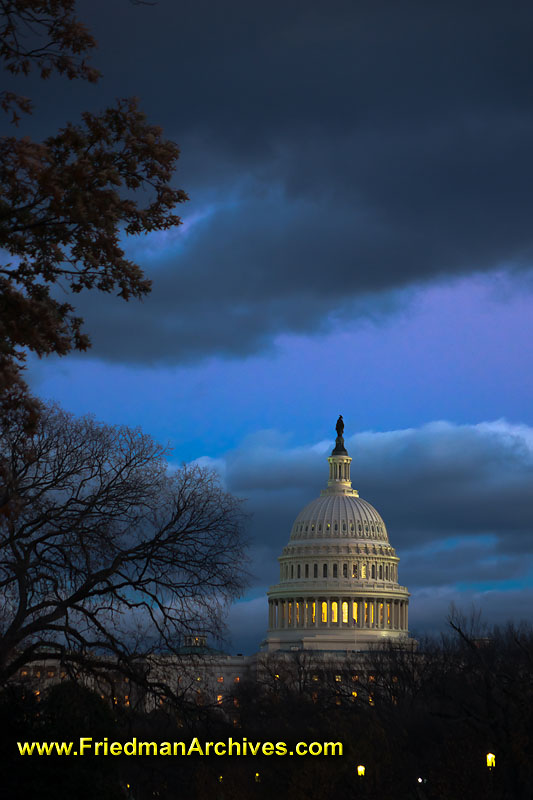 congress,senators,house,government,U.S.,united states,icon,washington,D.C.,lawmakers,dusk,dawn,blue,sky,trees,branches,